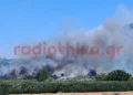 Φωτιά στην Πέτρα Βοιωτίας: «Απομακρυνθείτε προς Λιβαδειά» το μήνυμα του 112 – Η φωτιά μπήκε στο χωριό