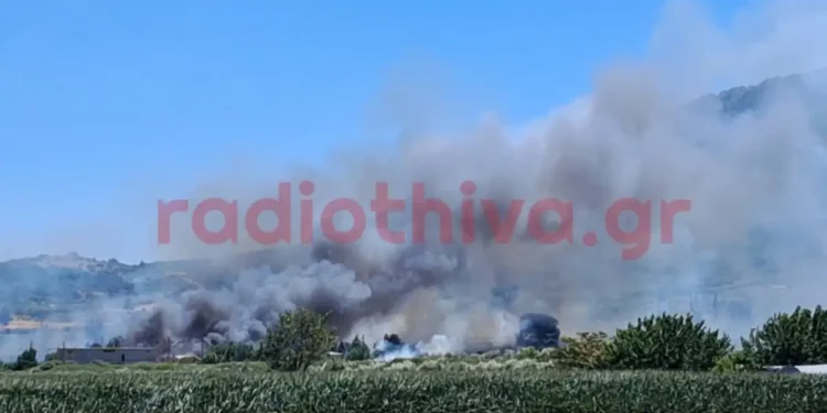 Φωτιά στην Πέτρα Βοιωτίας: «Απομακρυνθείτε προς Λιβαδειά» το μήνυμα του 112 – Η φωτιά μπήκε στο χωριό