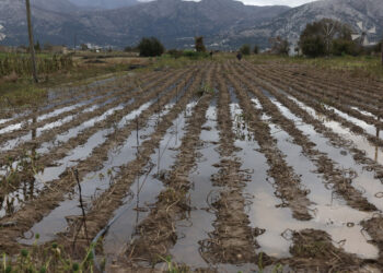 Λασίθι: Έως τις 19 Οκτωβρίου οι δηλώσεις παραγωγών για αποζημιώσεις εξαιτίας της κακοκαιρίας