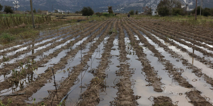 Λασίθι: Έως τις 19 Οκτωβρίου οι δηλώσεις παραγωγών για αποζημιώσεις εξαιτίας της κακοκαιρίας