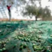 Ελαιόλαδο: Η παραγωγή των Ισπανών πιέζει τις τιμές και οι Ελληνες δεν βιάζονται για τη συγκομιδή μέχρι να ανέβουν