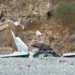 Έπεσε μονοκινητήριο αεροσκάφος στην Πιερία – Νεκροί εντοπίστηκαν οι 2 επιβαίνοντες