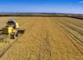 Καύσιμα: Η εκτίναξη του ντίζελ απειλεί την παγκόσμια αγροτική παραγωγή και τις τιμές των τροφίμων